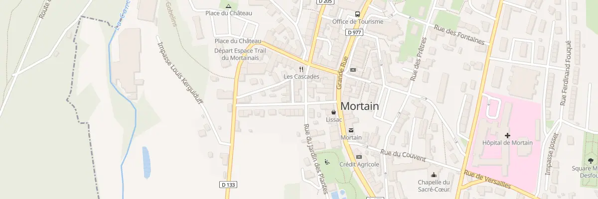 Plan du 1B Rue du Jardin des Plantes Mort à Mortain-Bocage