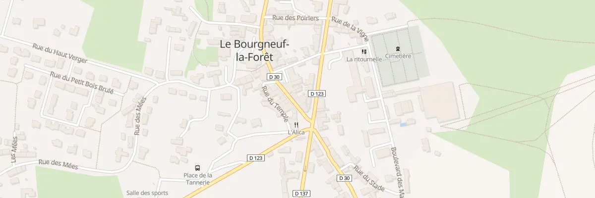 Plan du 5 Rue Principale au Bourgneuf-la-Forêt