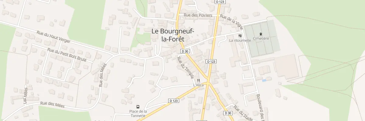 Plan du 17 Rue du Temple au Bourgneuf-la-Forêt