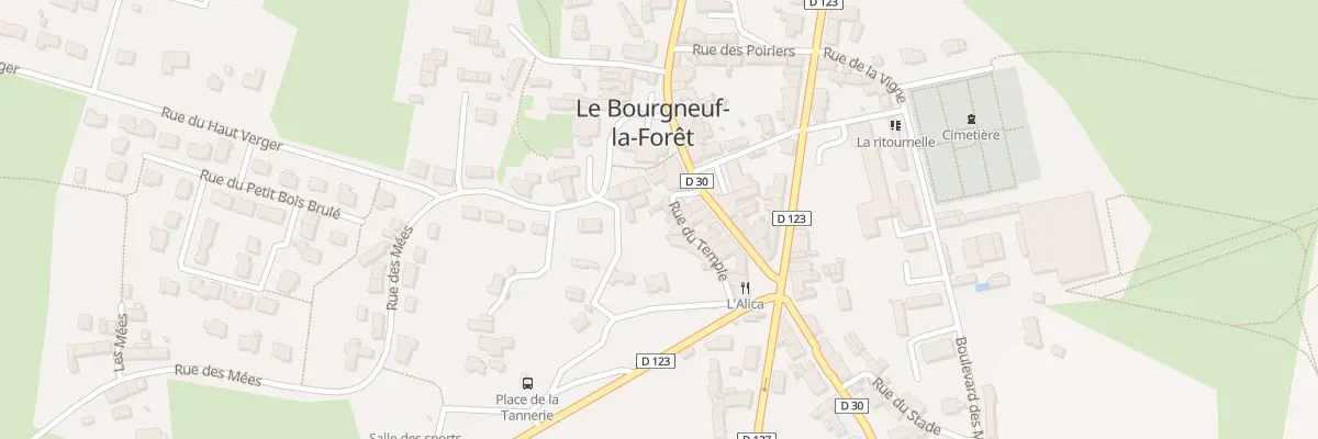 Plan du 18 Rue du Temple au Bourgneuf-la-Forêt