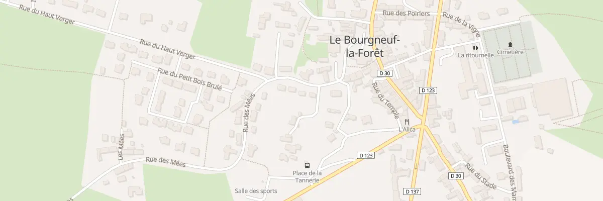 Plan du 8 Rue des Mées au Bourgneuf-la-Forêt