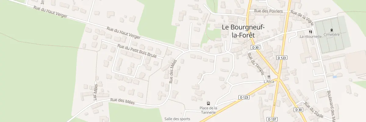 Plan du 14 Rue des Mées au Bourgneuf-la-Forêt