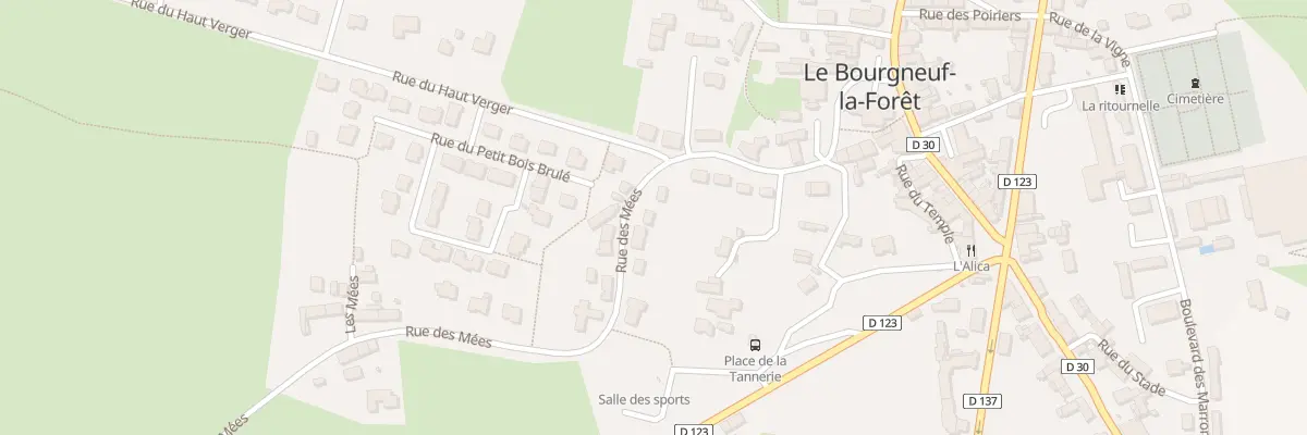 Plan du 16 Rue des Mées au Bourgneuf-la-Forêt