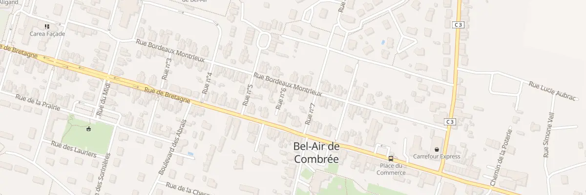 Plan du 21 Rue Bordeaux Montrieux à Ombrée d’Anjou