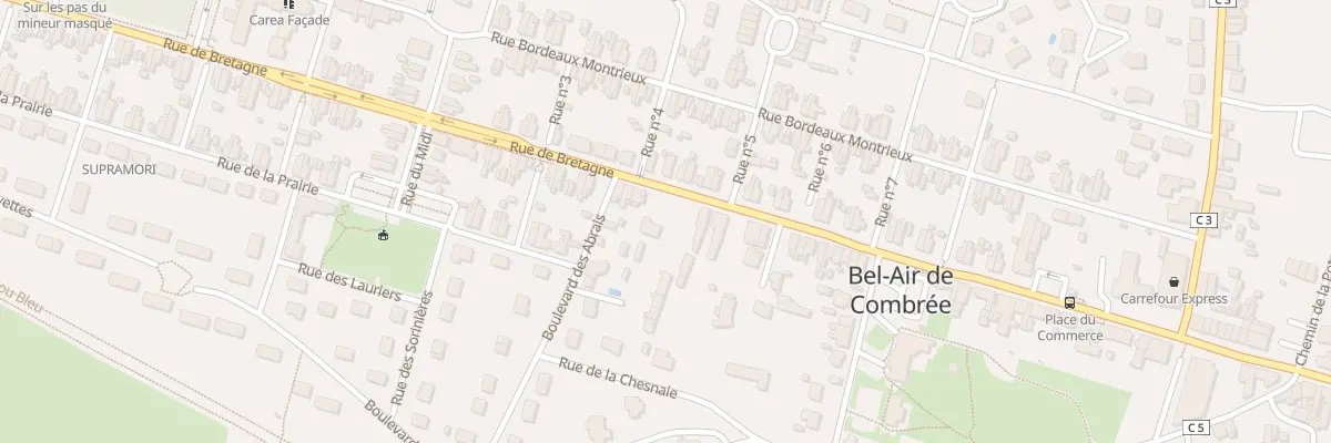 Plan du 49B Rue de Bretagne (Combree) à Ombrée d’Anjou
