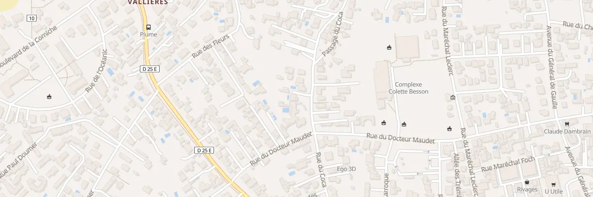 Plan du 55 Rue du Coca à Saint-Georges-de-Didonne