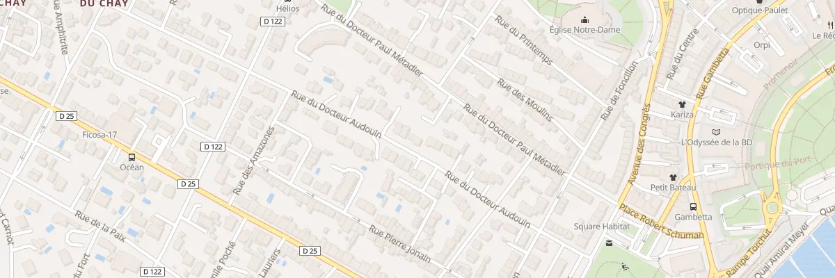 Plan du 25 Rue du Docteur Audouin à Royan