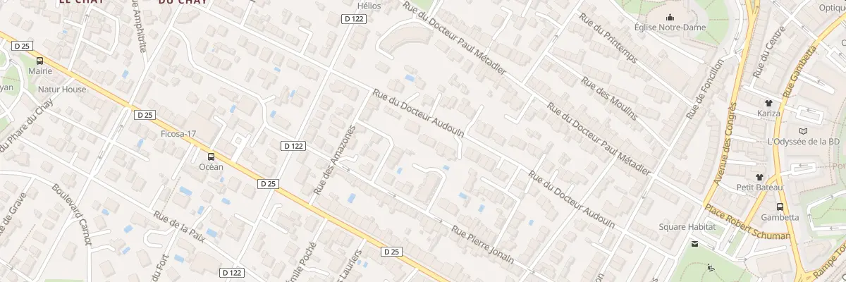 Plan du 38 Rue du Docteur Audouin à Royan