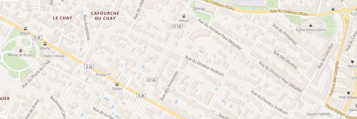 Plan du 50 Rue du Docteur Audouin à Royan