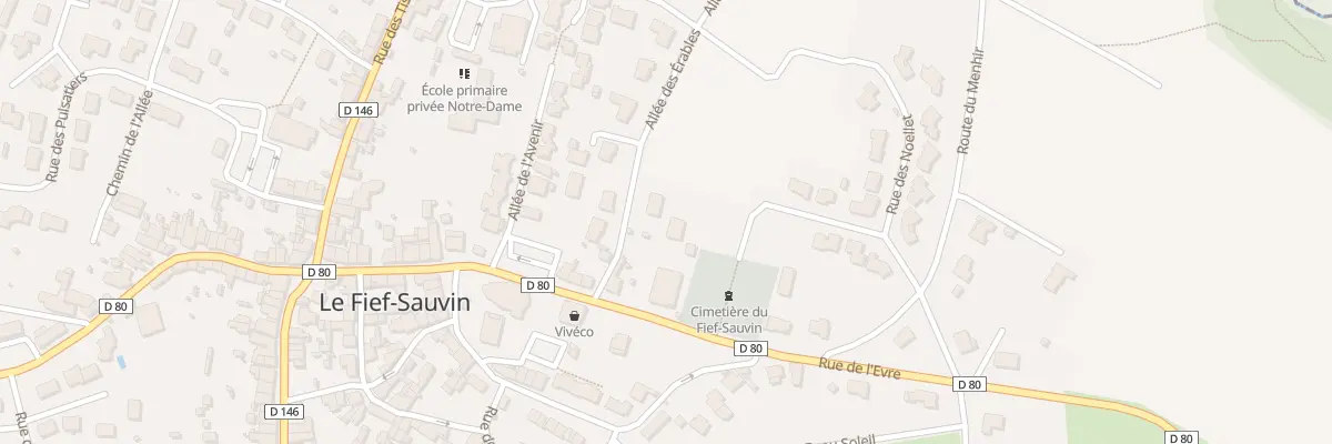 Plan du 35 Rue de l’Evre (Le Fief Sauvin) à Montrevault-sur-Èvre