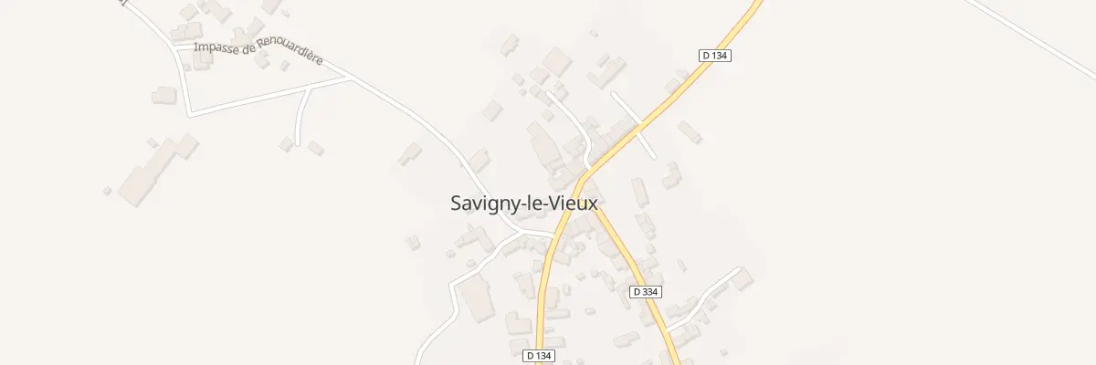 Plan du 3 Rue Louis Dior à Savigny-le-Vieux