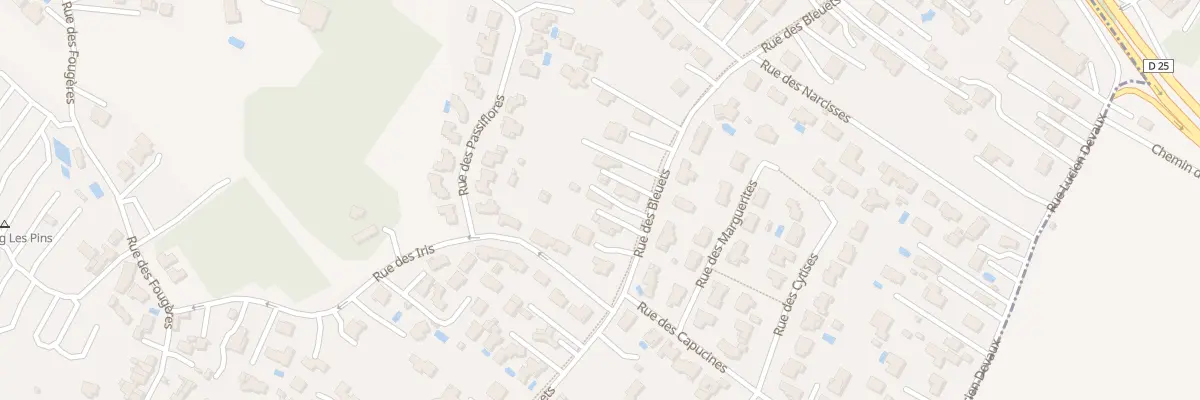 Plan du 30 Rue des Bleuets à Saint-Palais-sur-Mer