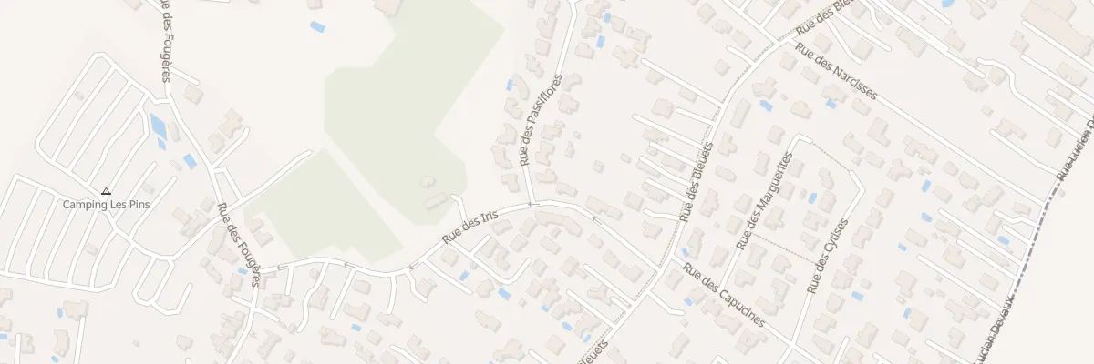 Plan du 2 Rue des Passiflores à Saint-Palais-sur-Mer