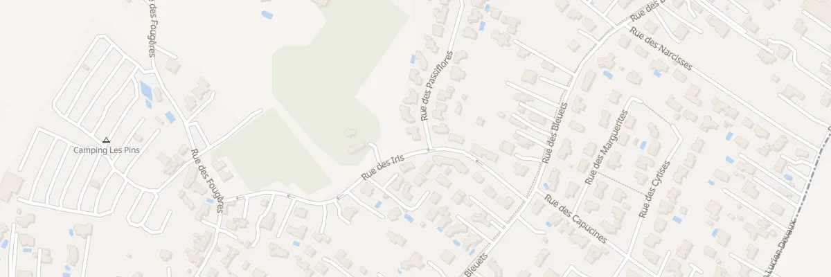 Plan du 1 Rue des Passiflores à Saint-Palais-sur-Mer