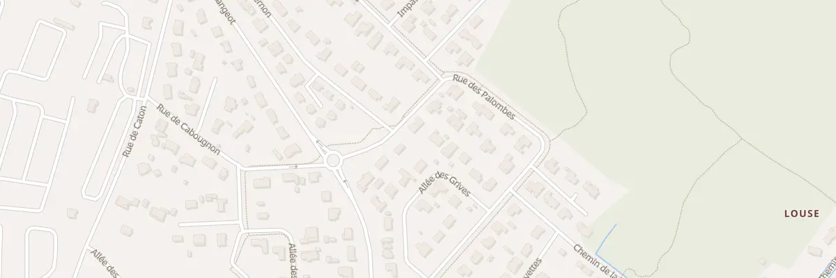 Plan du 110 Rue du Lac en Bernon à Sanguinet