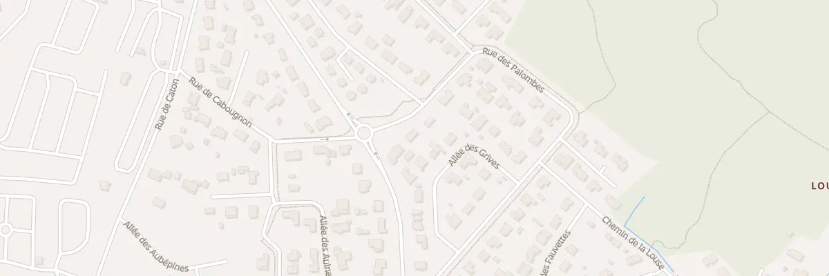 Plan du 52 Rue du Lac en Bernon à Sanguinet