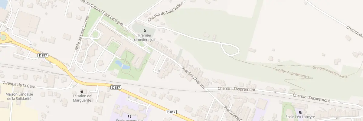 Plan du 110 Rue des Chapons à Peyrehorade