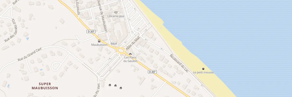 Plan du 101 Bd du Lac à Carcans