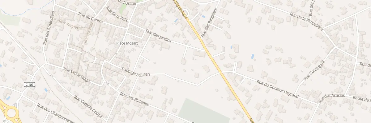 Plan du 21 Rue des Jardins à Bourcefranc-le-Chapus