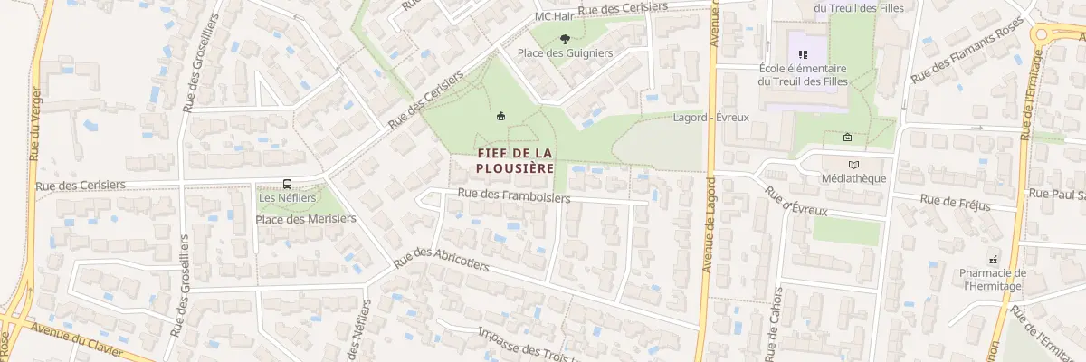 Plan du 19 Rue des Framboisiers à Lagord