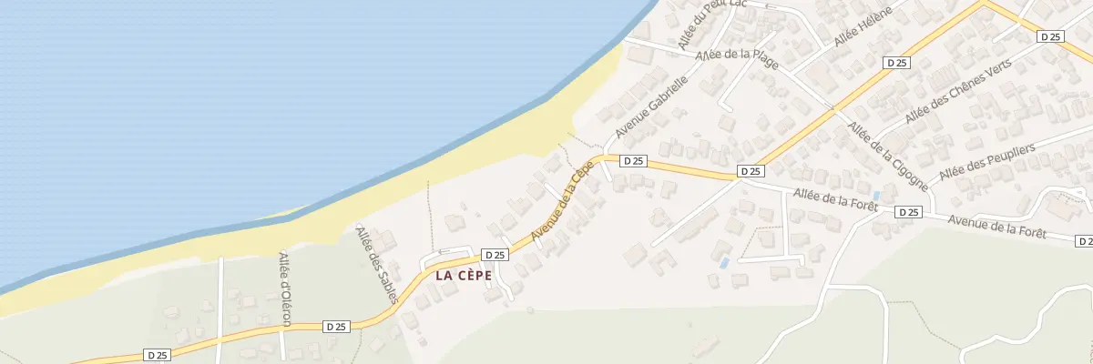 Plan du 42 Av de la Cêpe à La Tremblade