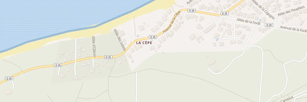 Plan du 53 Av de la Cêpe à La Tremblade