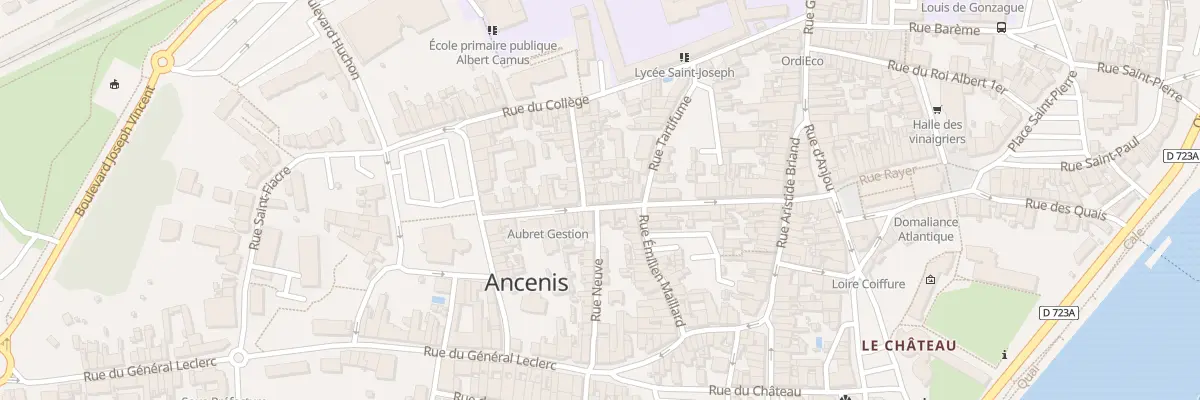 Plan du 150 Rue de Charost à Ancenis-Saint-Géréon