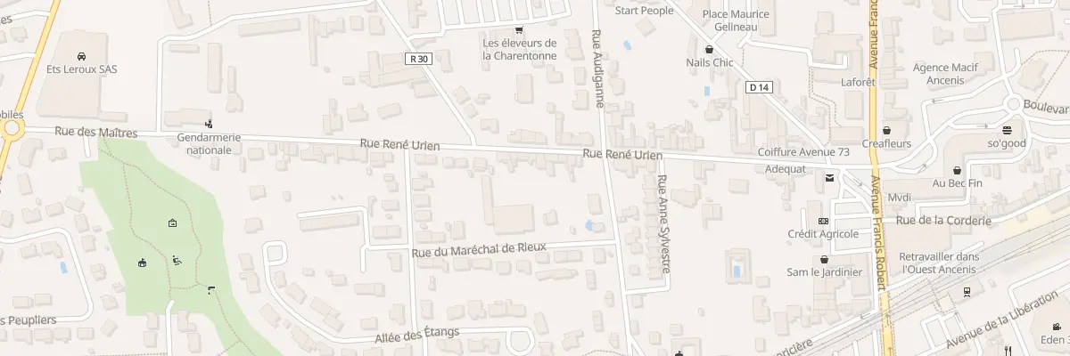 Plan du 263 Rue René Urien à Ancenis-Saint-Géréon