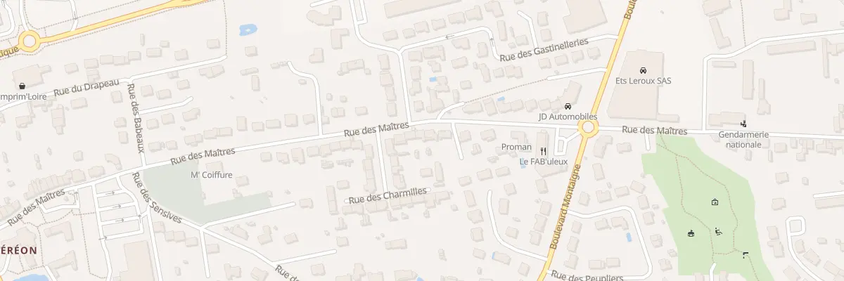 Plan du 498 Rue des Maitres à Ancenis-Saint-Géréon