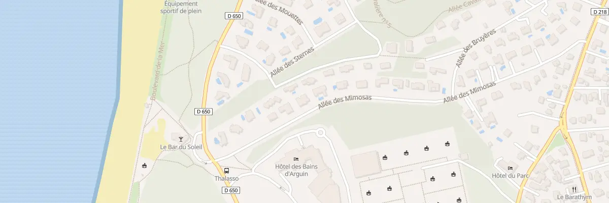 Plan du 33 All des Mimosas à Arcachon