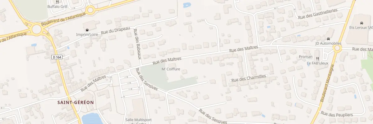 Plan du 300 Rue des Maitres à Ancenis-Saint-Géréon