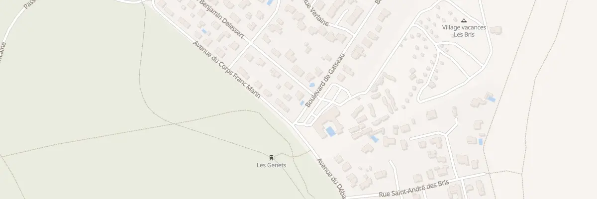 Plan du 24 Rue Benjamin Delessert à Saint-Trojan-les-Bains