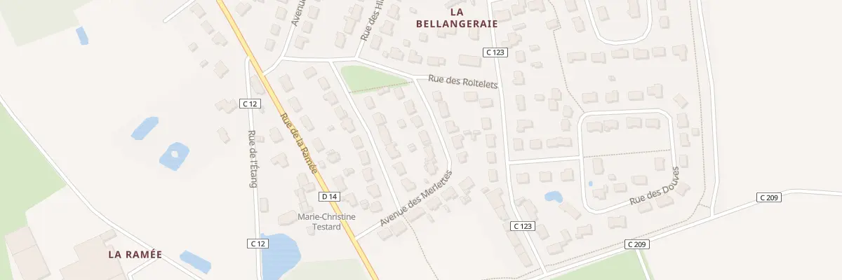 Plan du 218 Rue des Merlettes à Mésanger