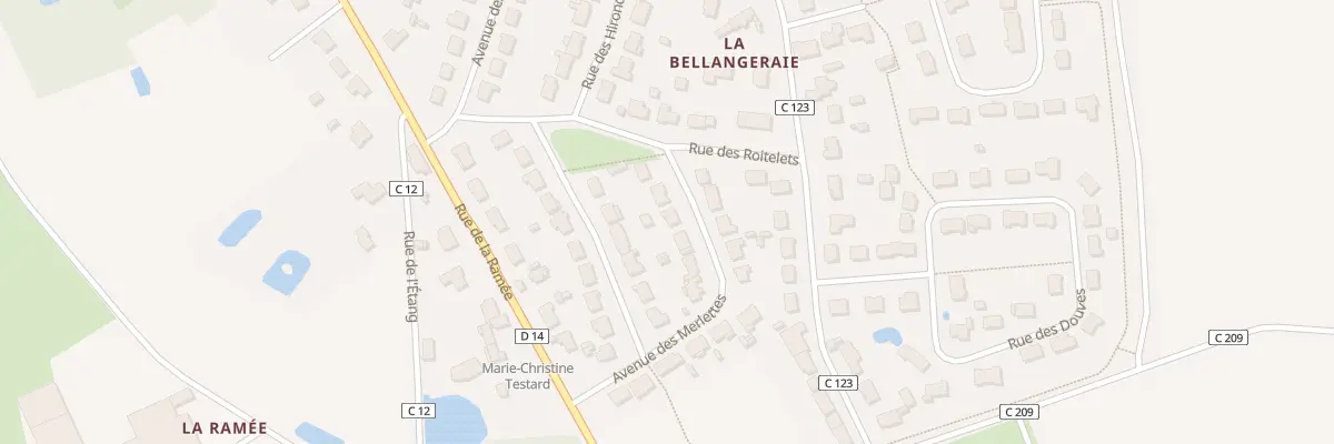 Plan du 200 Rue des Merlettes à Mésanger