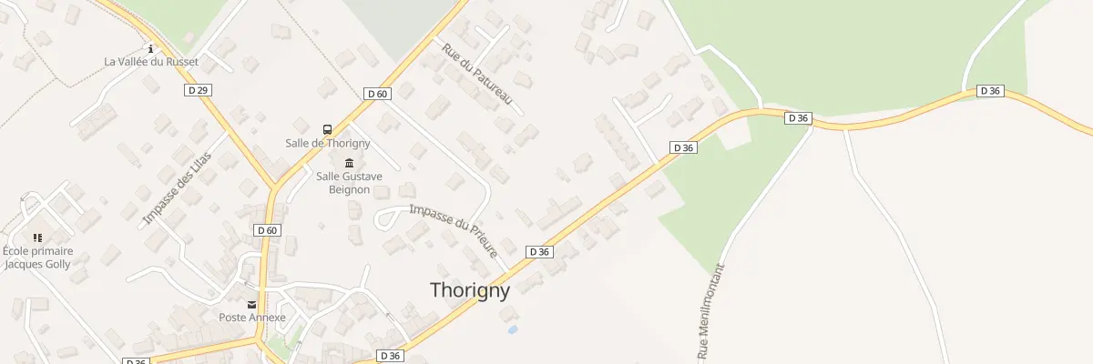 Plan du 31 Rue du pont du frêne à Thorigny