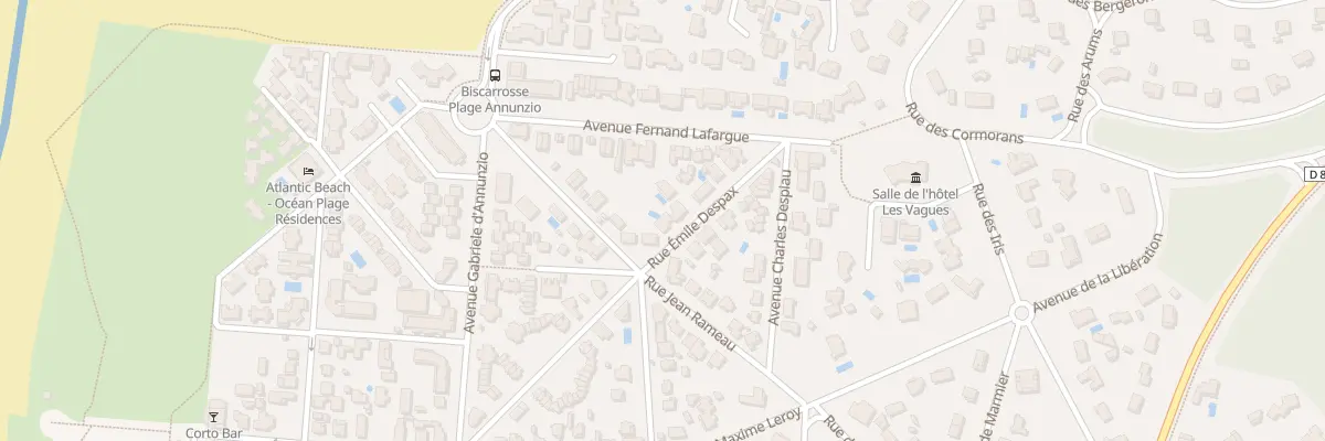 Plan du 29 Rue Emile Despax à Biscarrosse