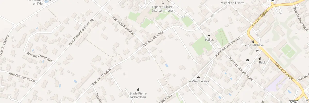 Plan du 21 Rue des moulins à Saint-Michel-en-l’Herm