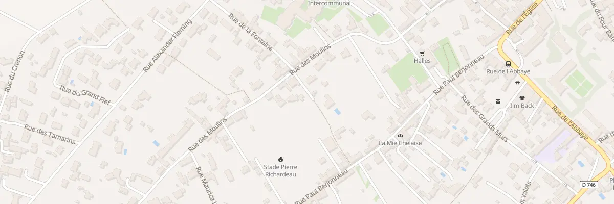 Plan du 25 Rue des moulins à Saint-Michel-en-l’Herm