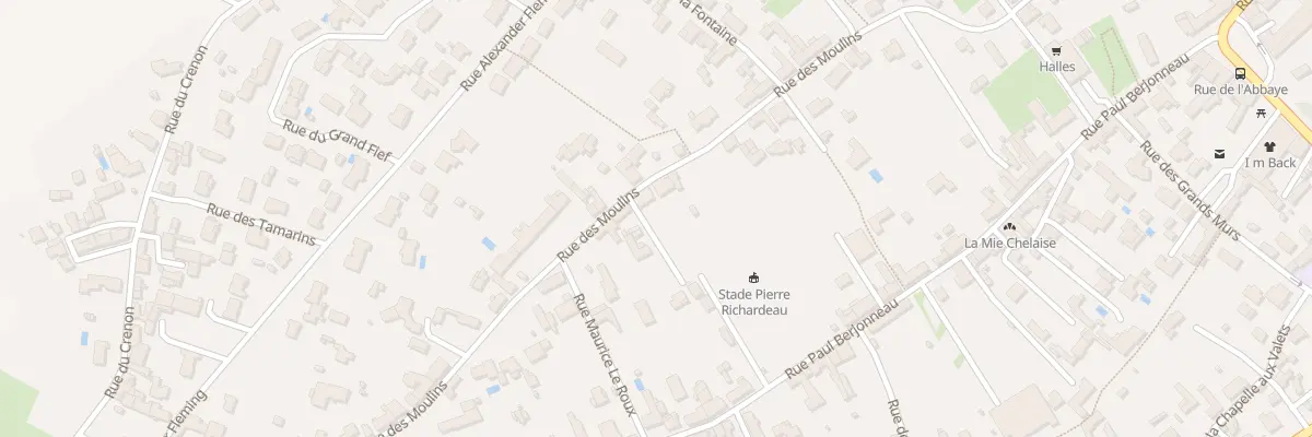 Plan du 39 Rue des moulins à Saint-Michel-en-l’Herm