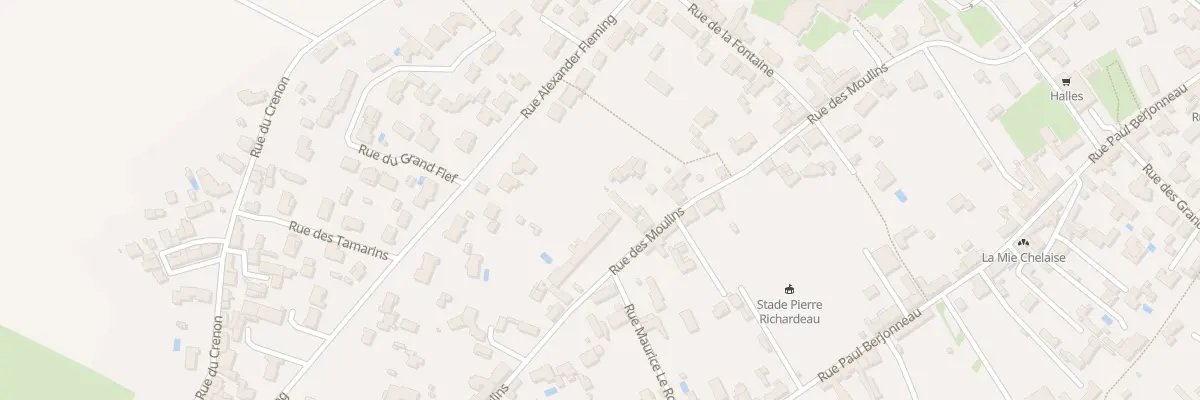 Plan du 40 Rue des moulins à Saint-Michel-en-l’Herm