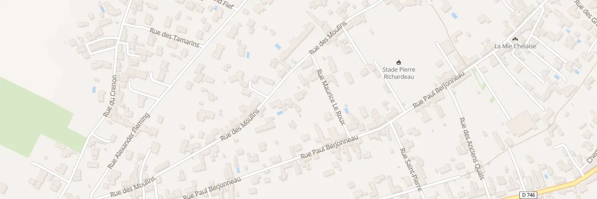 Plan du 51 Rue des moulins à Saint-Michel-en-l’Herm