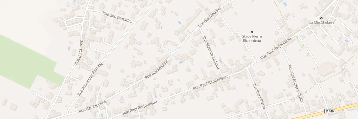 Plan du 55 Rue des moulins à Saint-Michel-en-l’Herm