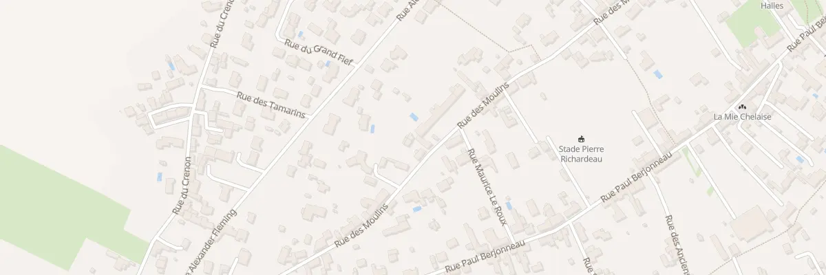 Plan du 46 Rue des moulins à Saint-Michel-en-l’Herm