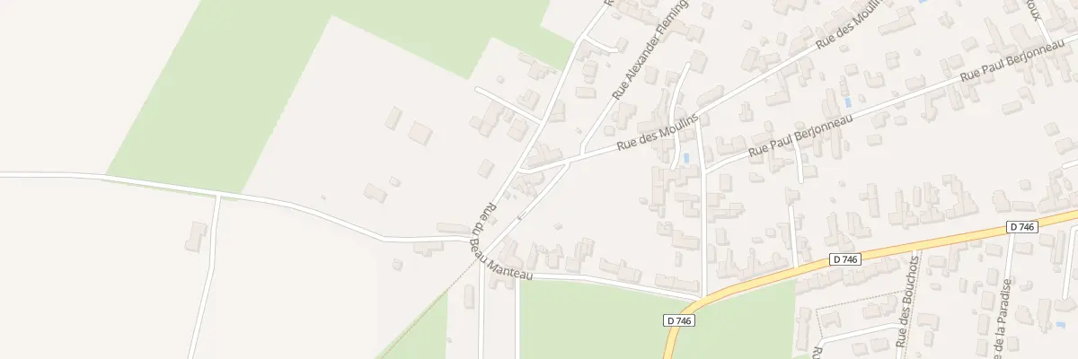 Plan du 77 Rue des moulins à Saint-Michel-en-l’Herm