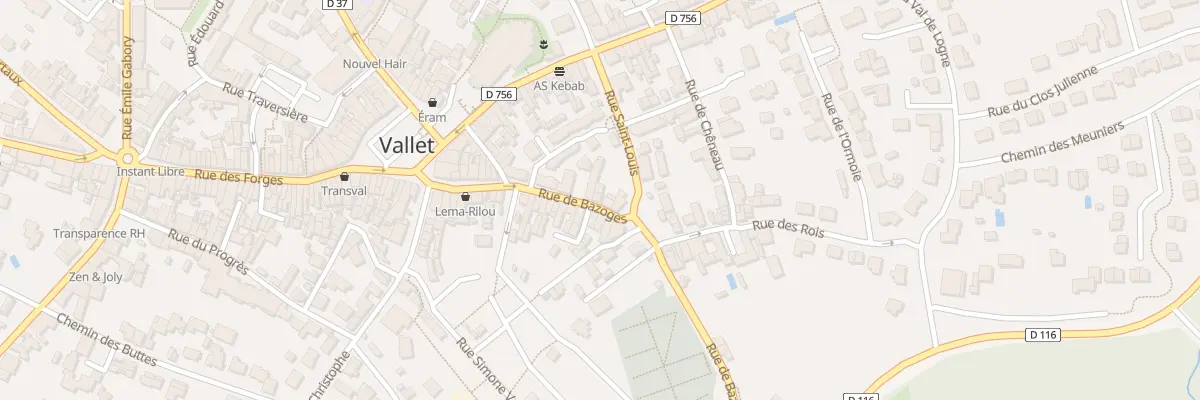 Plan du 29 Rue de Bazoges à Vallet