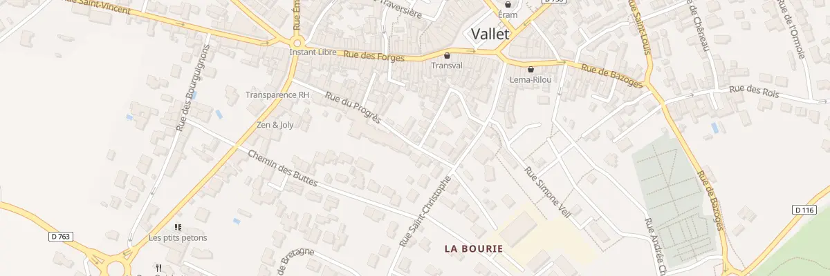 Plan du 19 Rue du Progrès à Vallet