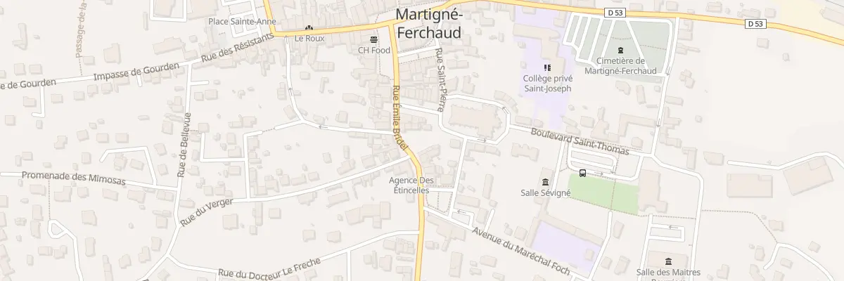 Plan du 13 Rue Emile Bridel à Martigné-Ferchaud