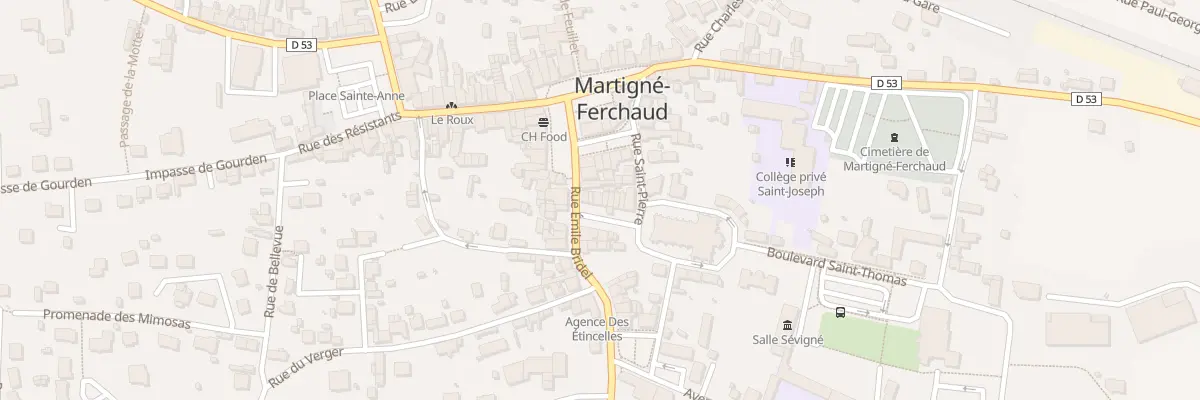 Plan du 9B Rue Emile Bridel à Martigné-Ferchaud