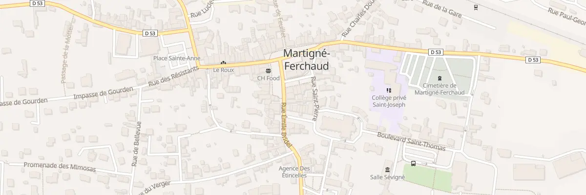 Plan du 7 Rue Emile Bridel à Martigné-Ferchaud