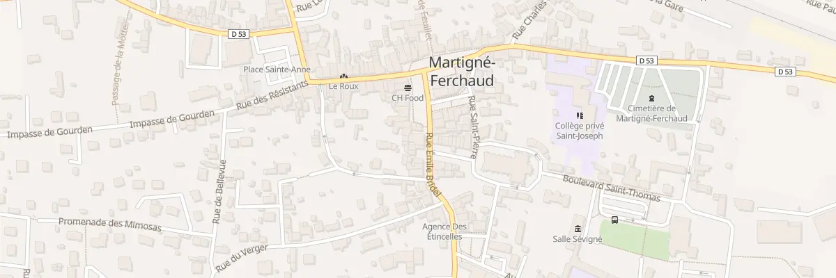 Plan du 24 Rue Emile Bridel à Martigné-Ferchaud